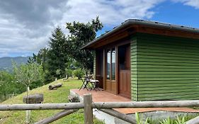 Bungalows Virales
